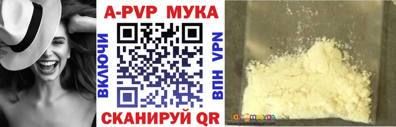 blacksprut зеркало  Котлас  Alfa_PVP крисы CK 