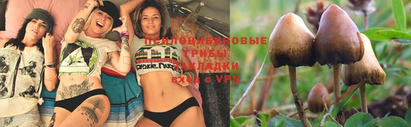 бутират Алексеевка