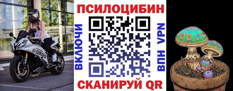 omg ссылка  Котлас  Псилоцибиновые грибы ЛСД 